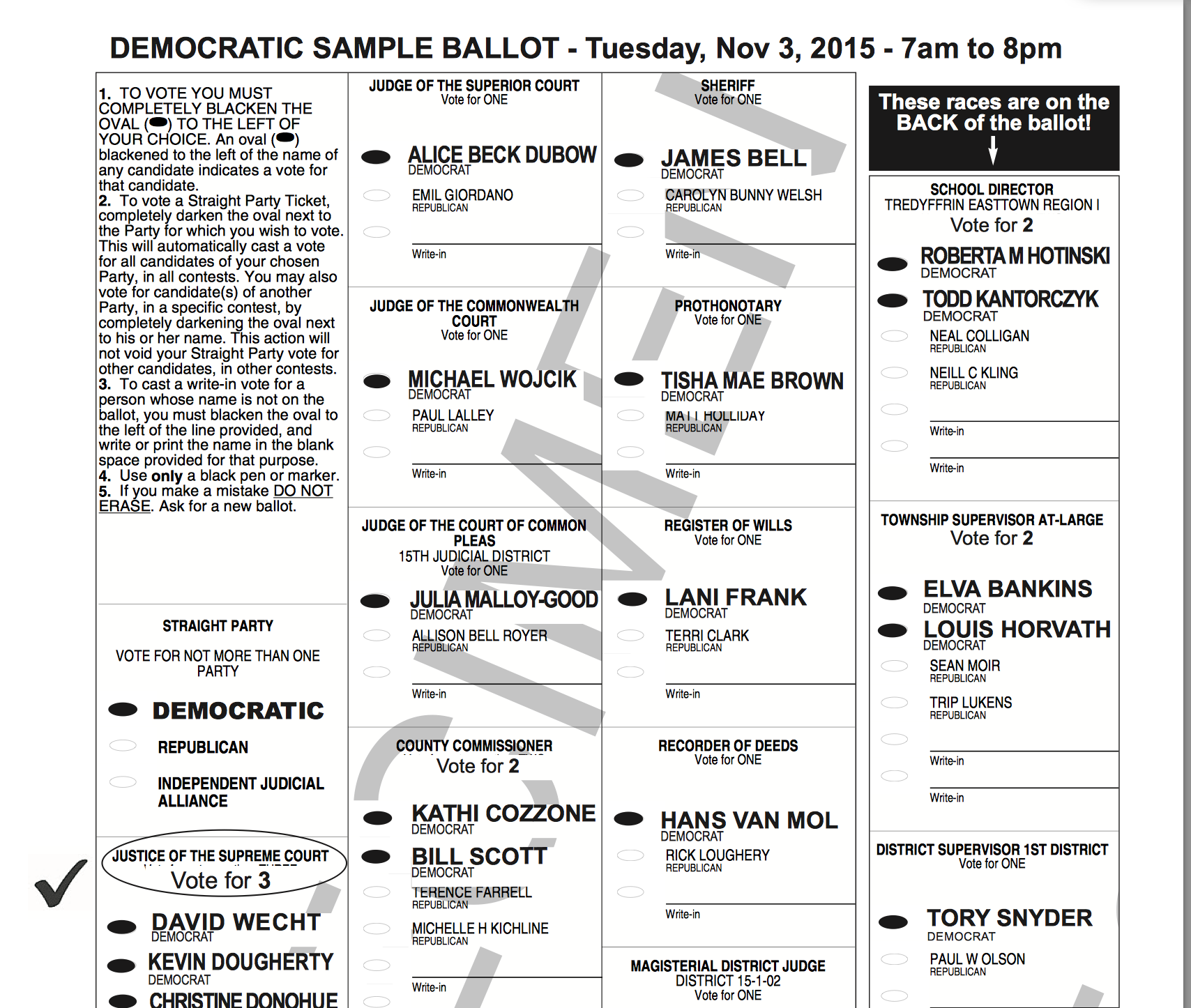 What is a voter sample ballot?